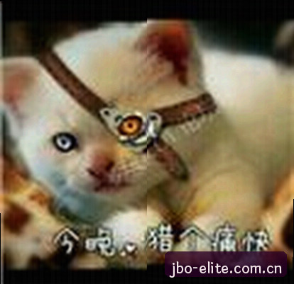 陈静